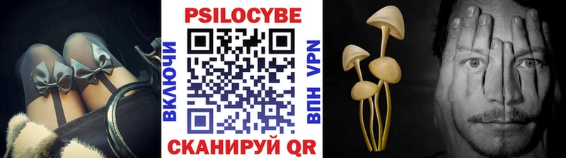 Купить где  Калачинск  Псилоцибиновые грибы Psilocybine cubensis 